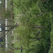 Entraigues-sur-la-Sorgue 17/04/2025