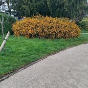 Mons-en-Barœul 17/04/2025