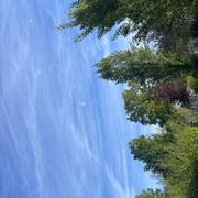 Les Eyzies-de-Tayac 18/04/2025