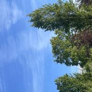 Les Eyzies-de-Tayac 18/04/2025