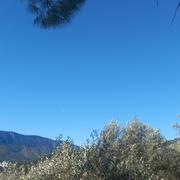 Buis-les-Baronnies 20/04/2025