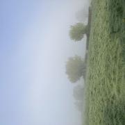 Bollezeele 27/04/2025