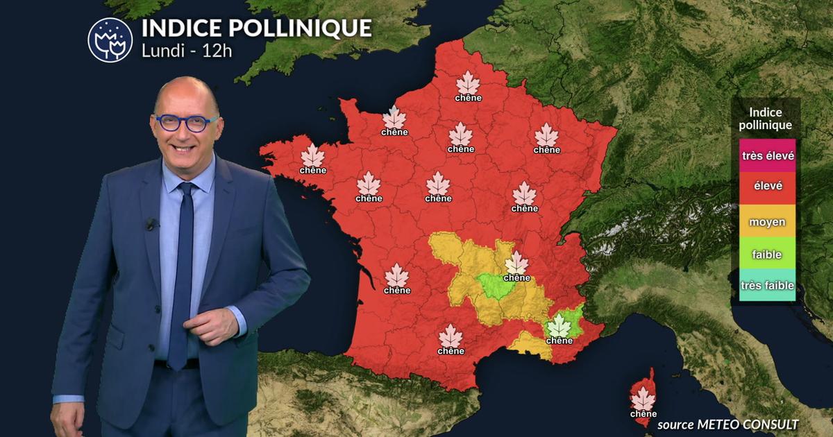 Pollinic Risk Rising in France - News Directory 3