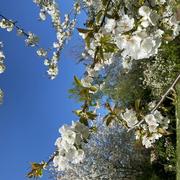 Magny-en-Vexin 27/04/2025