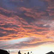 Hagetaubin 03/05/2025