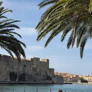 Collioure 04/05/2025