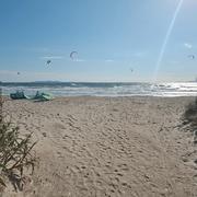 Bormes-les-Mimosas 08/05/2025