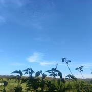 Montpezat 10/05/2025