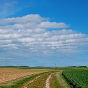 Neauphle-le-Vieux 11/05/2025
