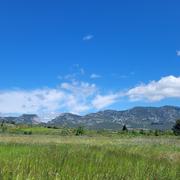 Saint-Paul-de-Fenouillet 12/05/2025