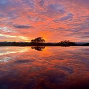 Lamontgie 12/05/2025