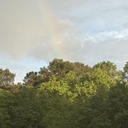 Saint-Martin-de-Seignanx 15/05/2025