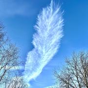 Muhlbach-sur-Munster 15/05/2025