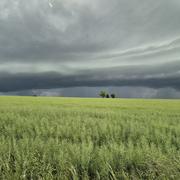 Courson-les-Carrières 16/05/2025