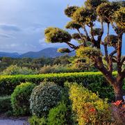 Roquefort-les-Pins 20/05/2025