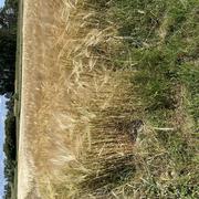 Montmartin-sur-Mer 02/06/2025