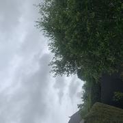 Boisgervilly 05/06/2025