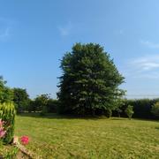 Barcelonne-du-Gers 09/06/2025