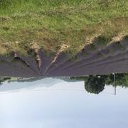 Barbières 12/06/2025