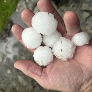 Courbépine 13/06/2025