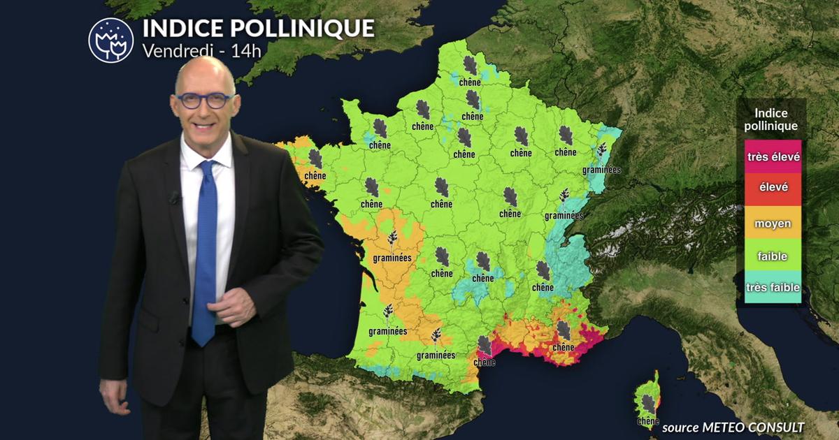 Pollens et allergies : la fraîcheur et les giboulées freinent le risque allergique vendredi