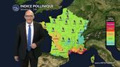 Pollens et allergies : la fraîcheur et les giboulées freinent le risque allergique vendredi