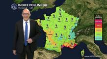 Pollens et allergies : la fraîcheur et les giboulées freinent le risque allergique vendredi