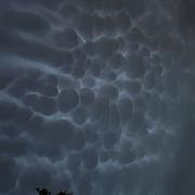 Verrières-le-Buisson 14/06/2025