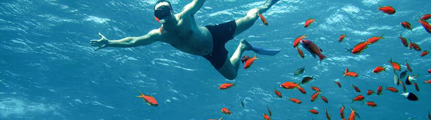 Les meilleurs spots de plongée égyptiens