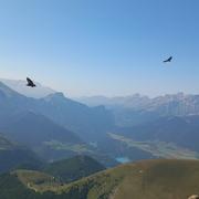 Sanctuaire de La Salette 30/06/2025