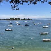 Le Logéo 30/06/2025