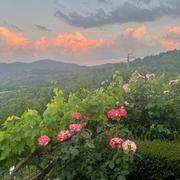 Pailharès 03/07/2025