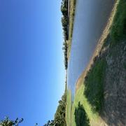 Saint-Florent-le-Vieil 03/07/2025