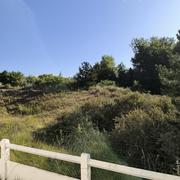 Plage de Stella 11/07/2025