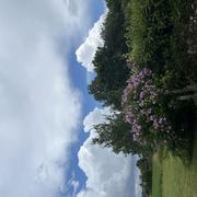 Regnéville-sur-Mer 20/07/2025