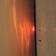 Lac du Der-Chantecoq (Marne) 21/07/2025