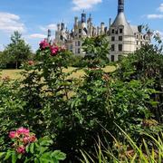 Chambord 26/07/2025