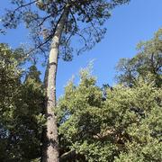 Labenne-Océan 01/08/2025