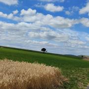 Gatuzières 03/08/2025