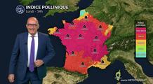 Bulletin allergo-pollinique pour le lundi 4 août : retour de la chaleur et risque allergique en hausse