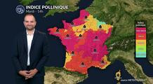 Bulletin allergo-pollinique pour le mardi 5 août : moins de risque au nord