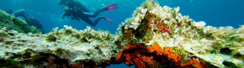 Plongée et tourisme : ces villes européennes où combiner découvertes sous-marines et visites culturelles