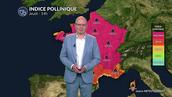 Bulletin allergo-pollinique pour le jeudi 7 août : forte reprise des pollens