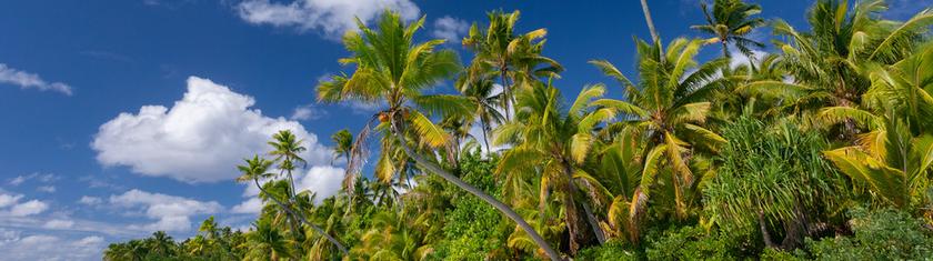 Les îles Cook annoncent un accord avec les Etats-Unis sur leurs minéraux sous-marins