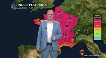Bulletin allergo-pollinique pour le vendredi 8 août : une vigilance accrue face à la chaleur caniculaire