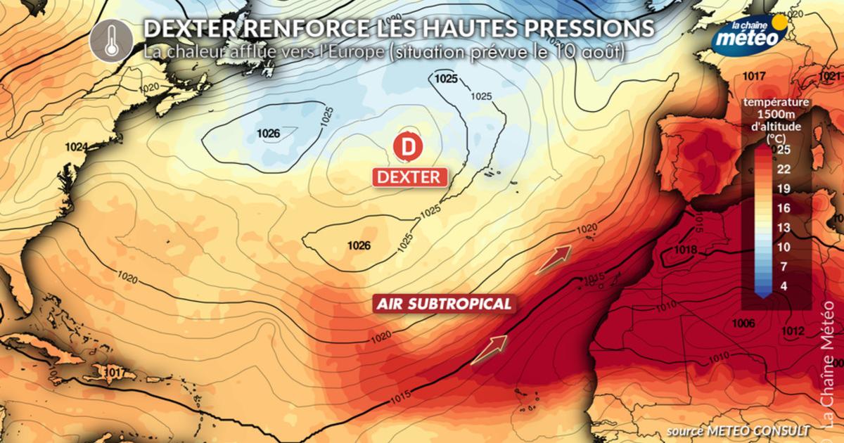 Vague de chaleur et canicule durable : toute la semaine prochaine en ...