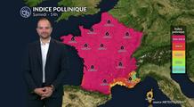 Bulletin allergo-pollinique pour le samedi 9 août : canicule et pollens très nombreux
