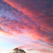 Montigné-lès-Rairies 29/10/2010