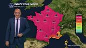 Bulletin allergo-pollinique pour le dimanche 10 août : canicule  et pollens en alerte dans le sud