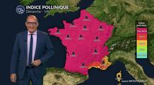 Bulletin allergo-pollinique pour le dimanche 10 août : canicule  et pollens en alerte dans le sud